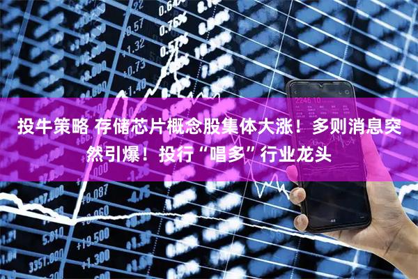 投牛策略 存储芯片概念股集体大涨！多则消息突然引爆！投行“唱多”行业龙头