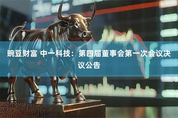 豌豆财富 中一科技：第四届董事会第一次会议决议公告