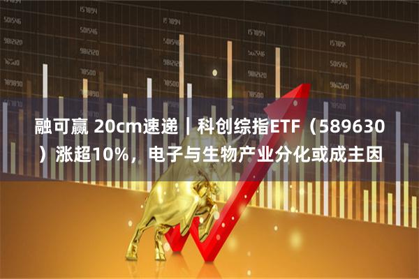 融可赢 20cm速递｜科创综指ETF（589630）涨超10%，电子与生物产业分化或成主因